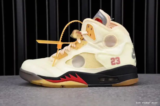 Reps LUCY 5 Jordan Retro DH8565-100 OFF-WHITE Sail 0624